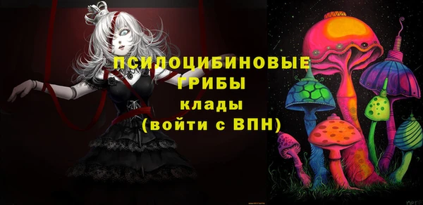 PSILOCYBIN Верея