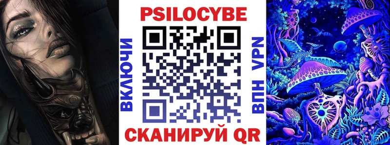 Купить где  Гулькевичи  Галлюциногенные грибы Psilocybe 